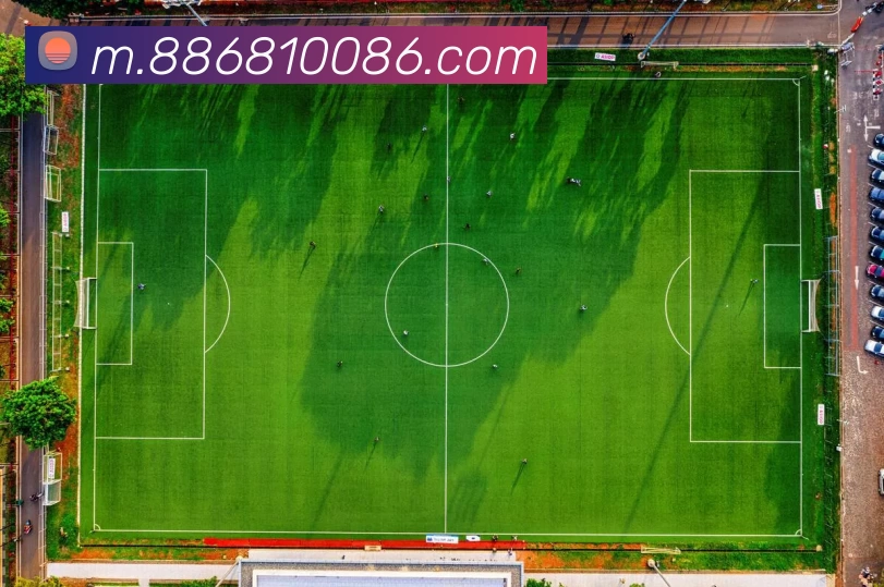 8868体育APP 封面图